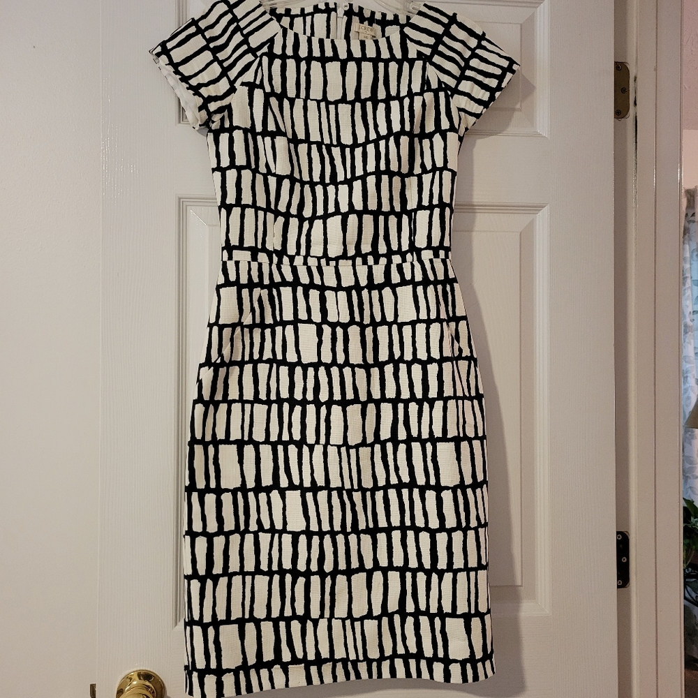 JCrew Navy and White Dress